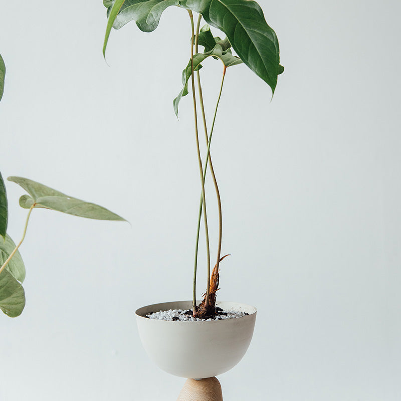 Basalto planter 80 cm
