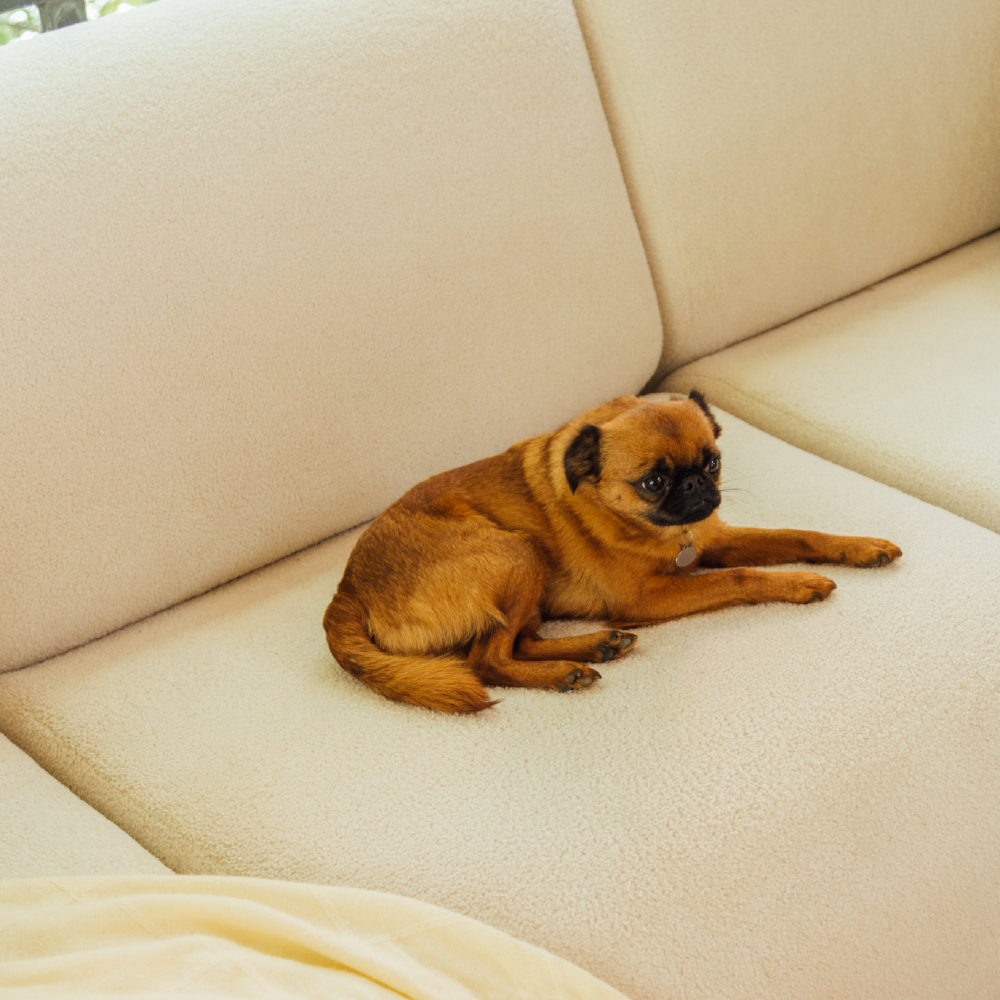 Maicao sofa 300 cm