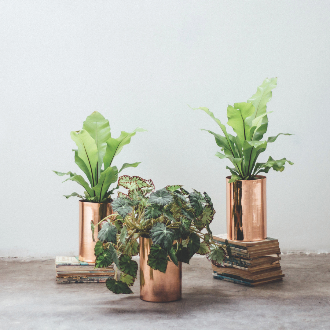 Coppery touch: Diamantina & La Perla in Caras Deco
