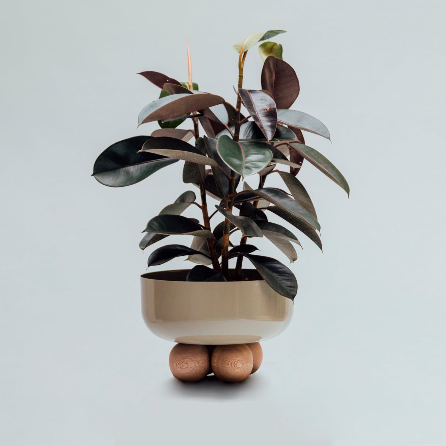 Gemini planter