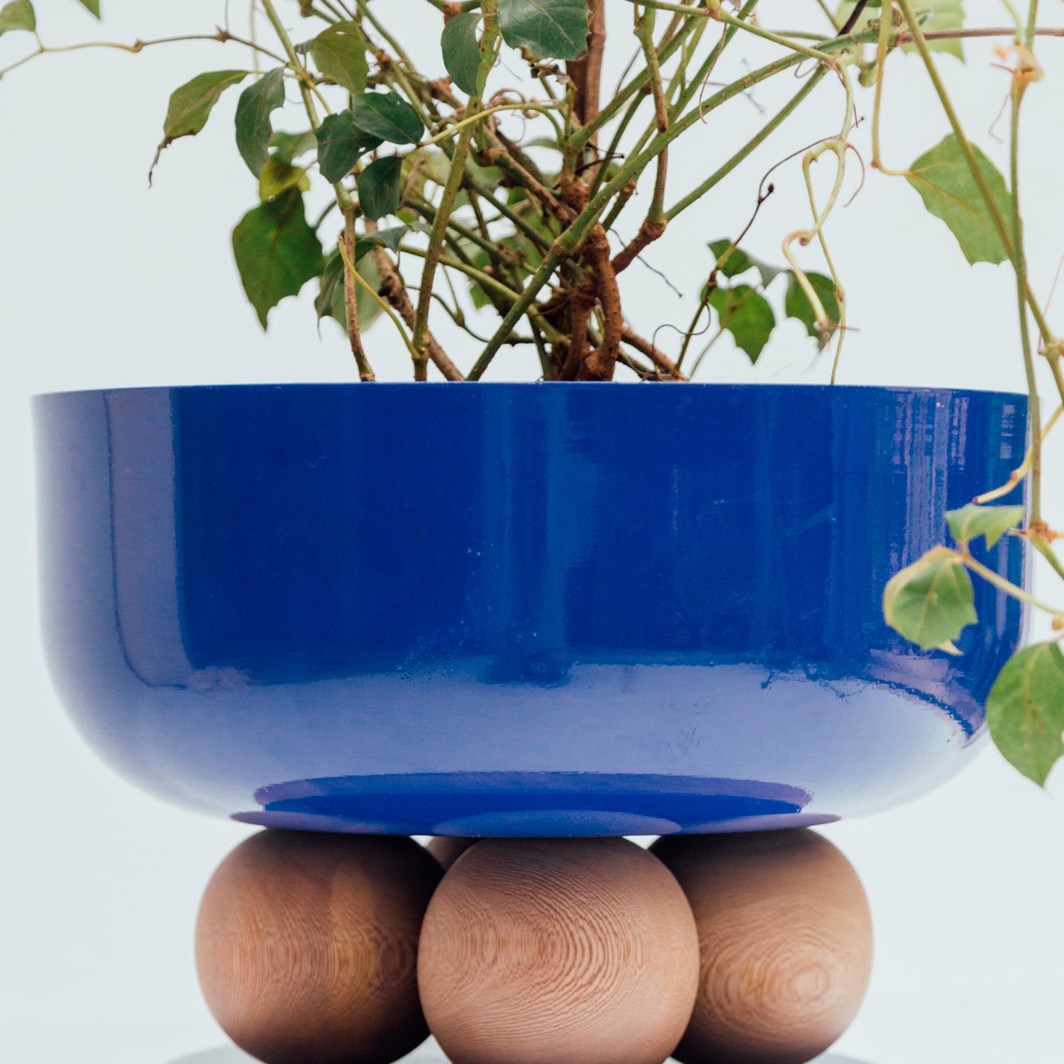 Gemini planter