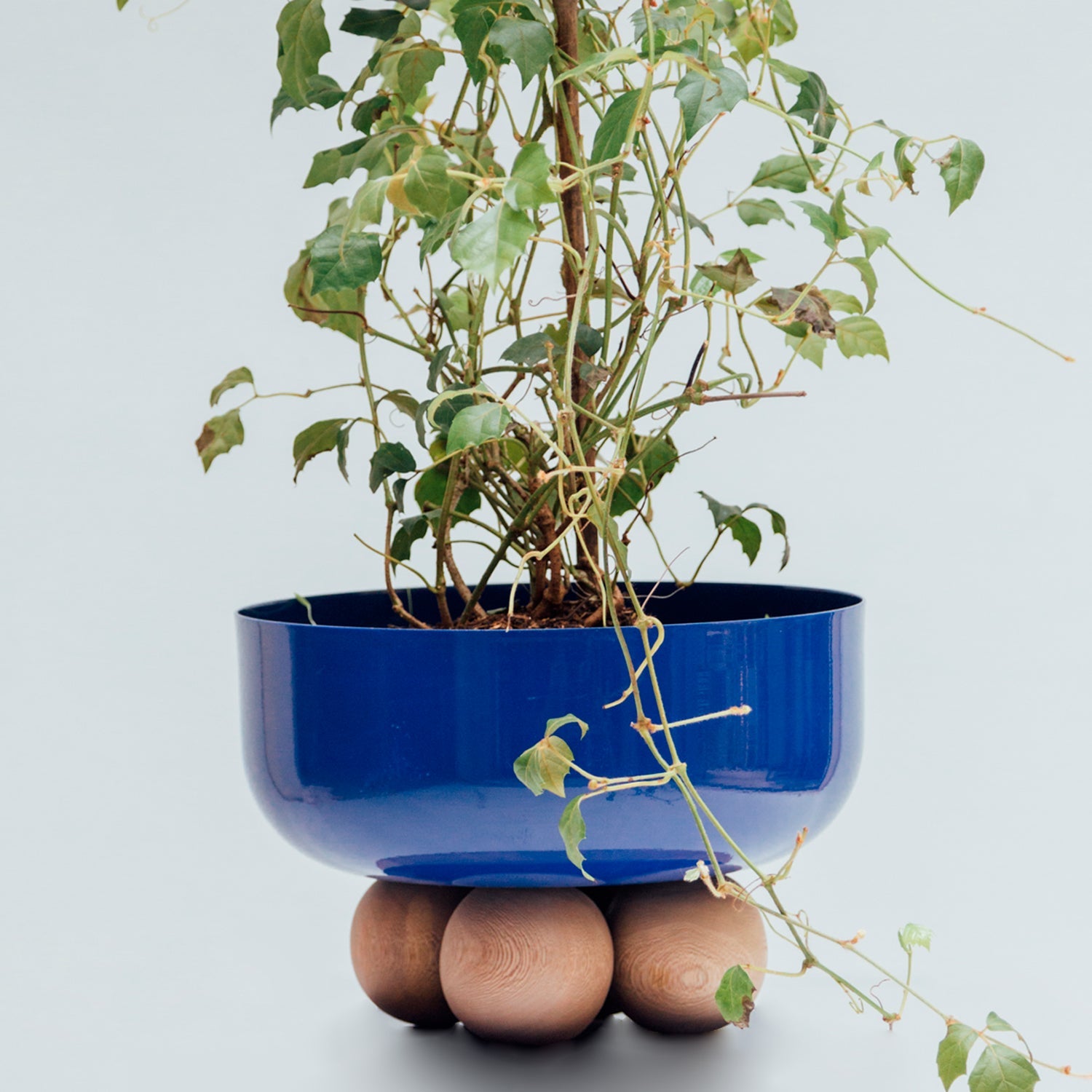 Gemini planter