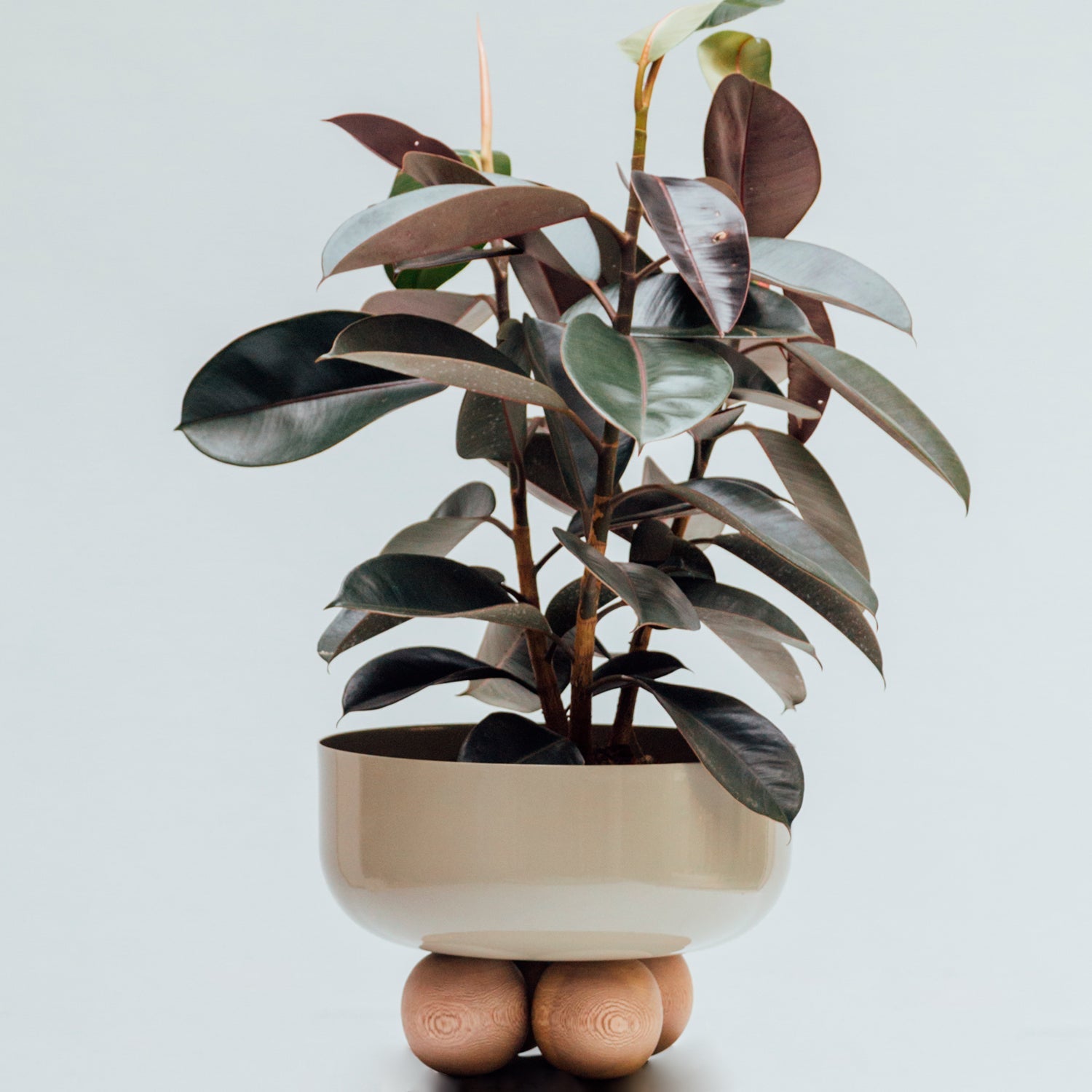 Gemini planter
