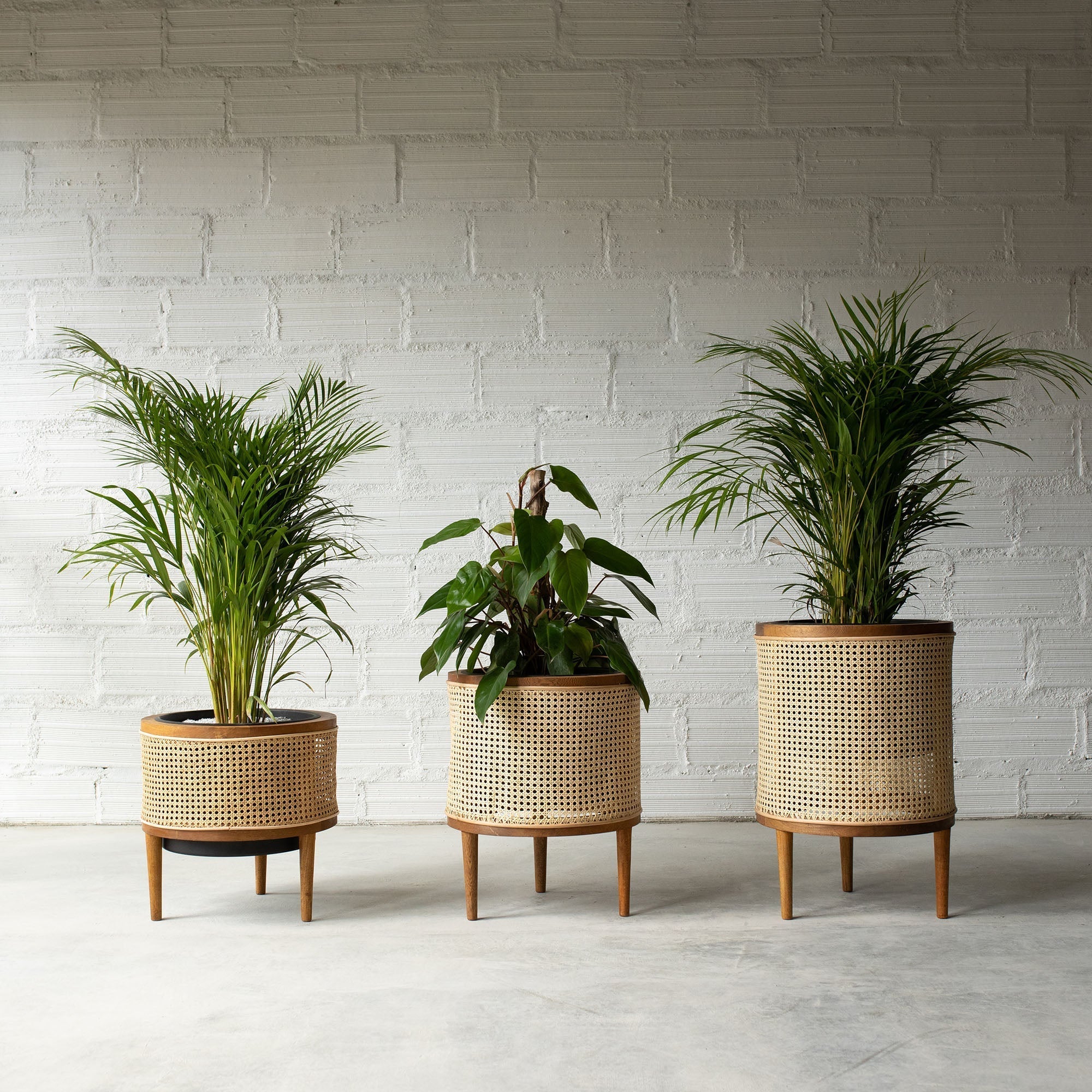 Galatea planter 50 cm
