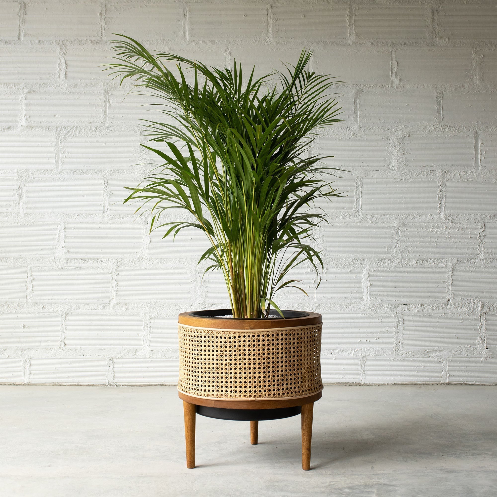 Galatea planter 60 cm