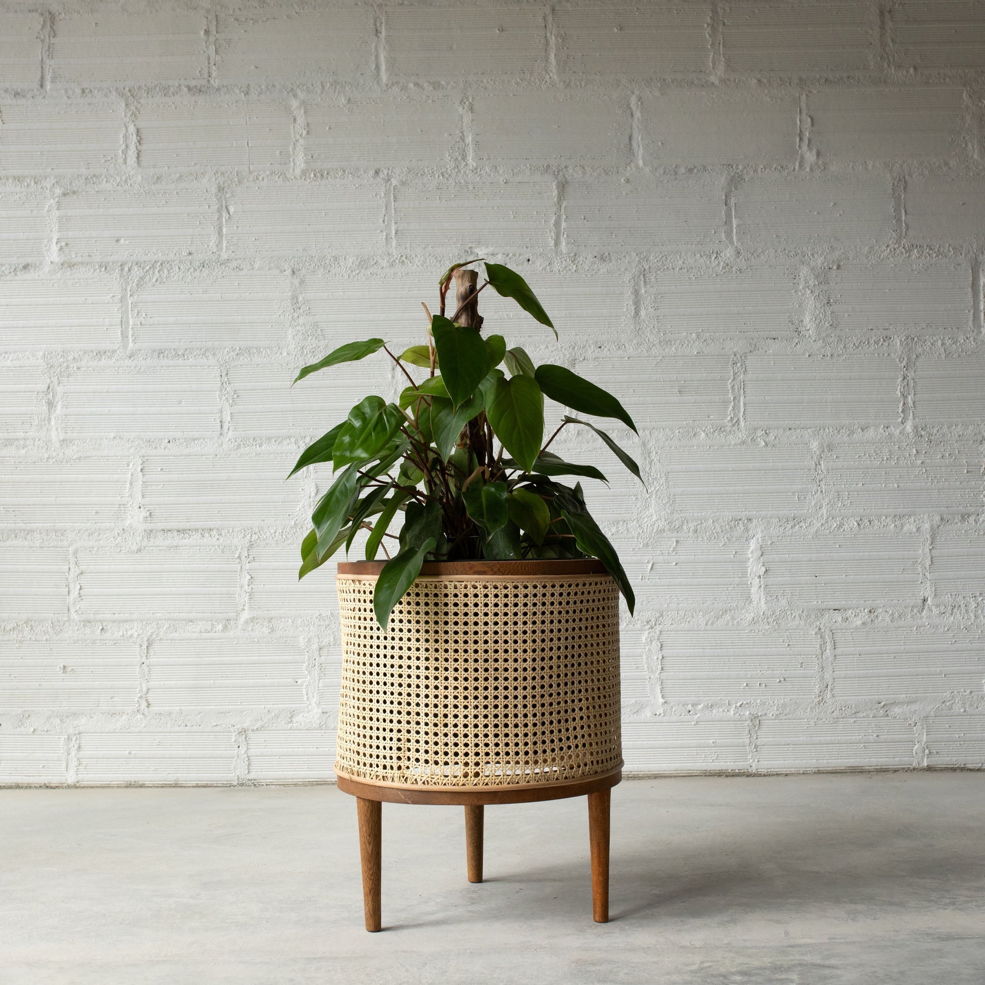 Galatea planter 60 cm