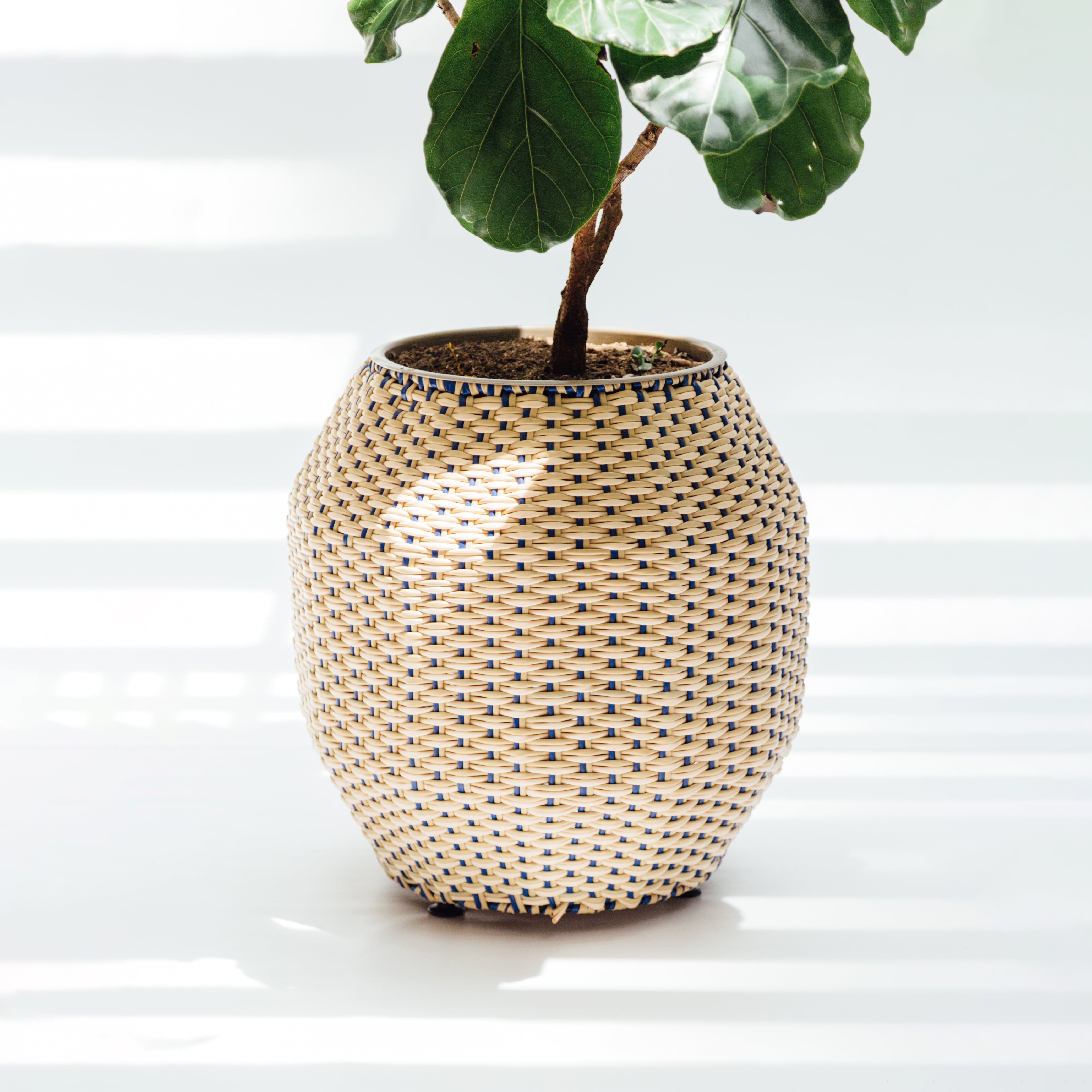 Caribe planter 60 cm