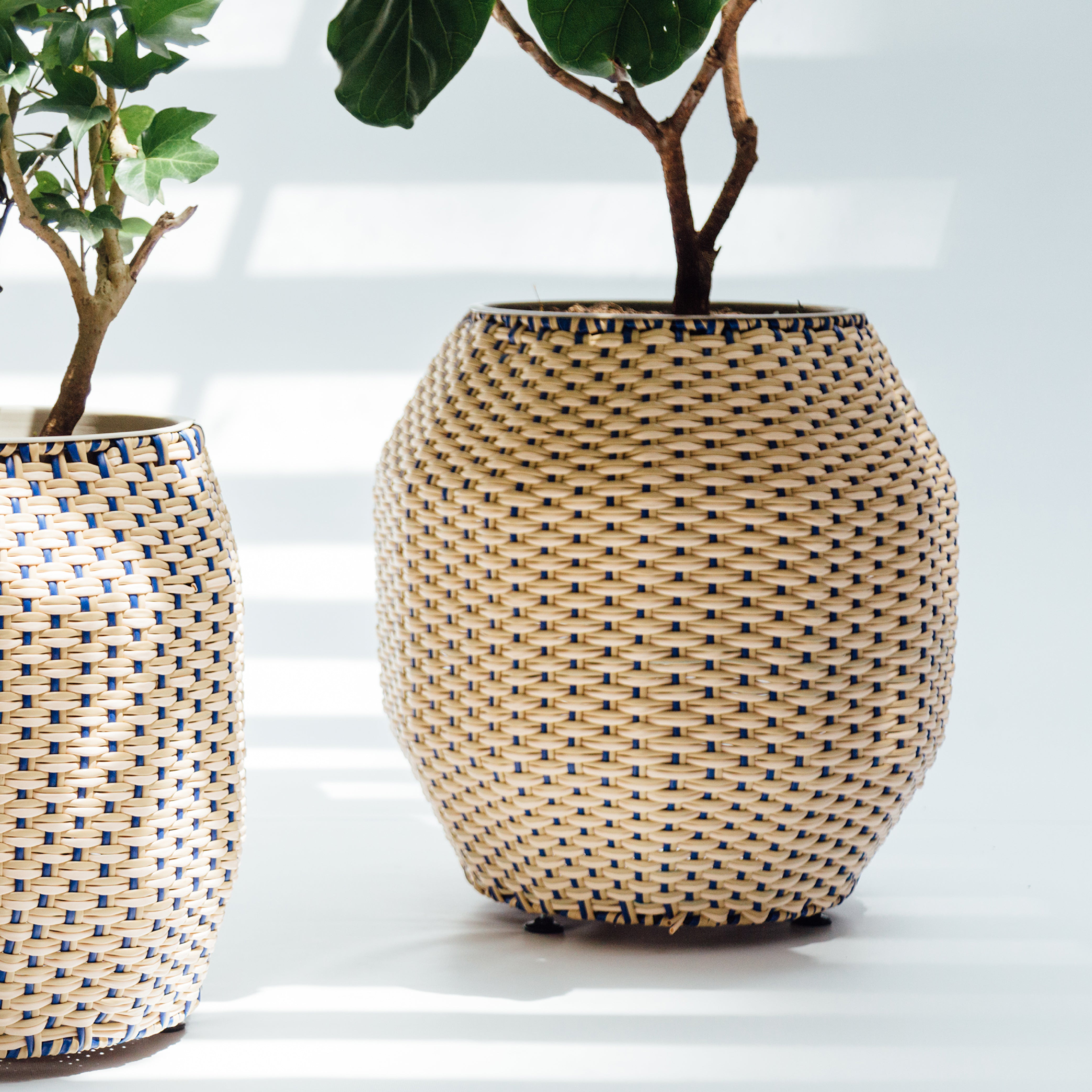 Caribe planter 60 cm