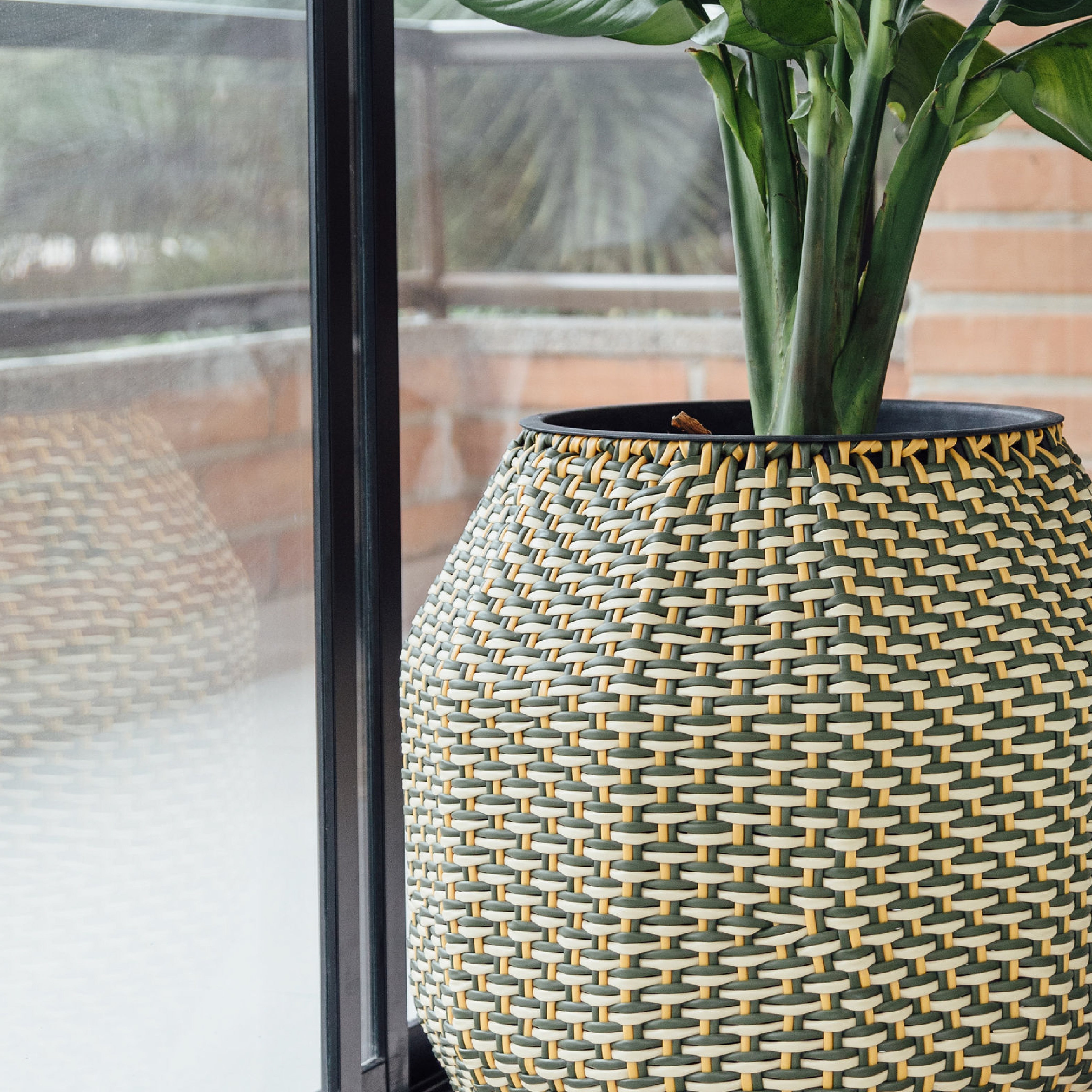 Caribe planter 50 cm