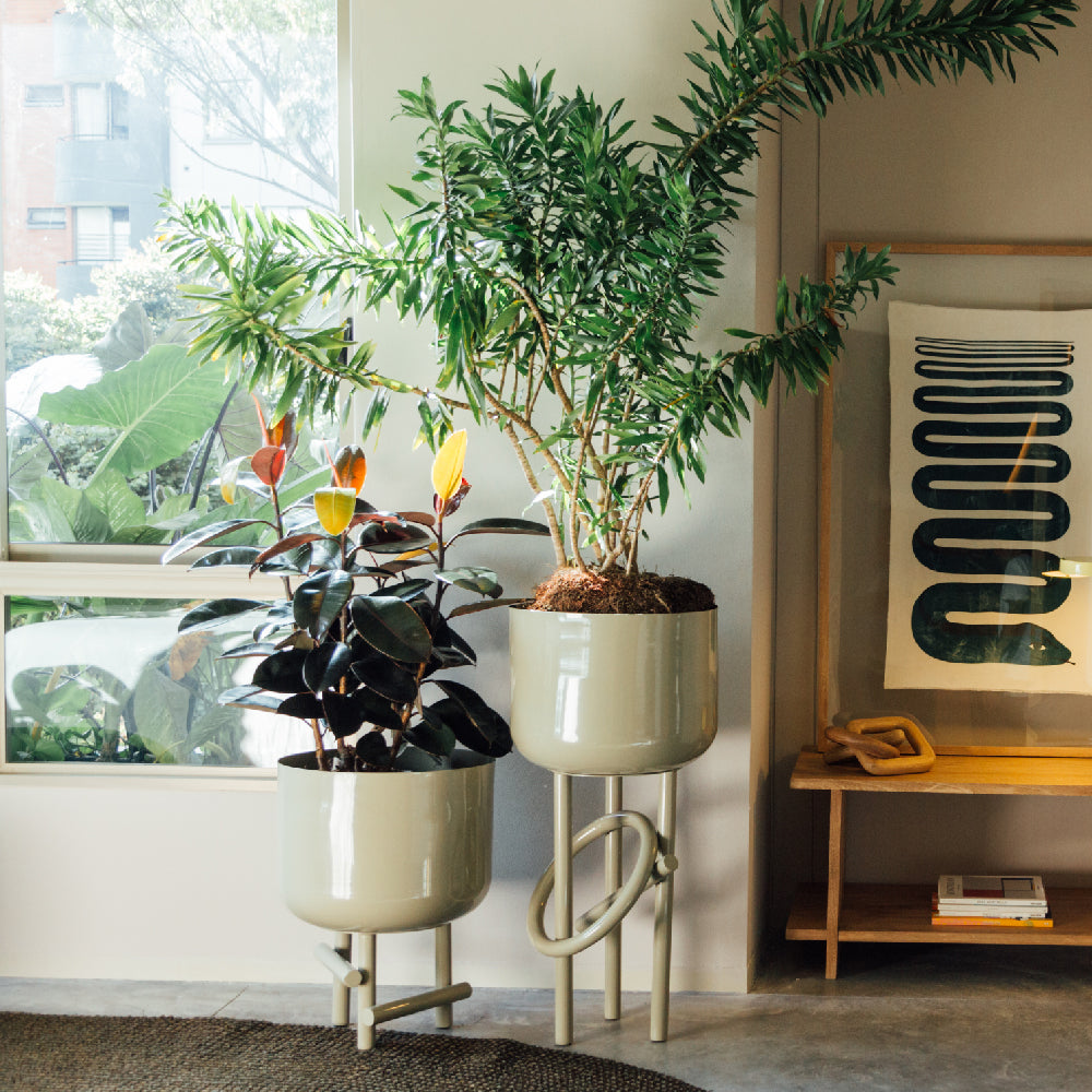 Jacinta planter 100 cm