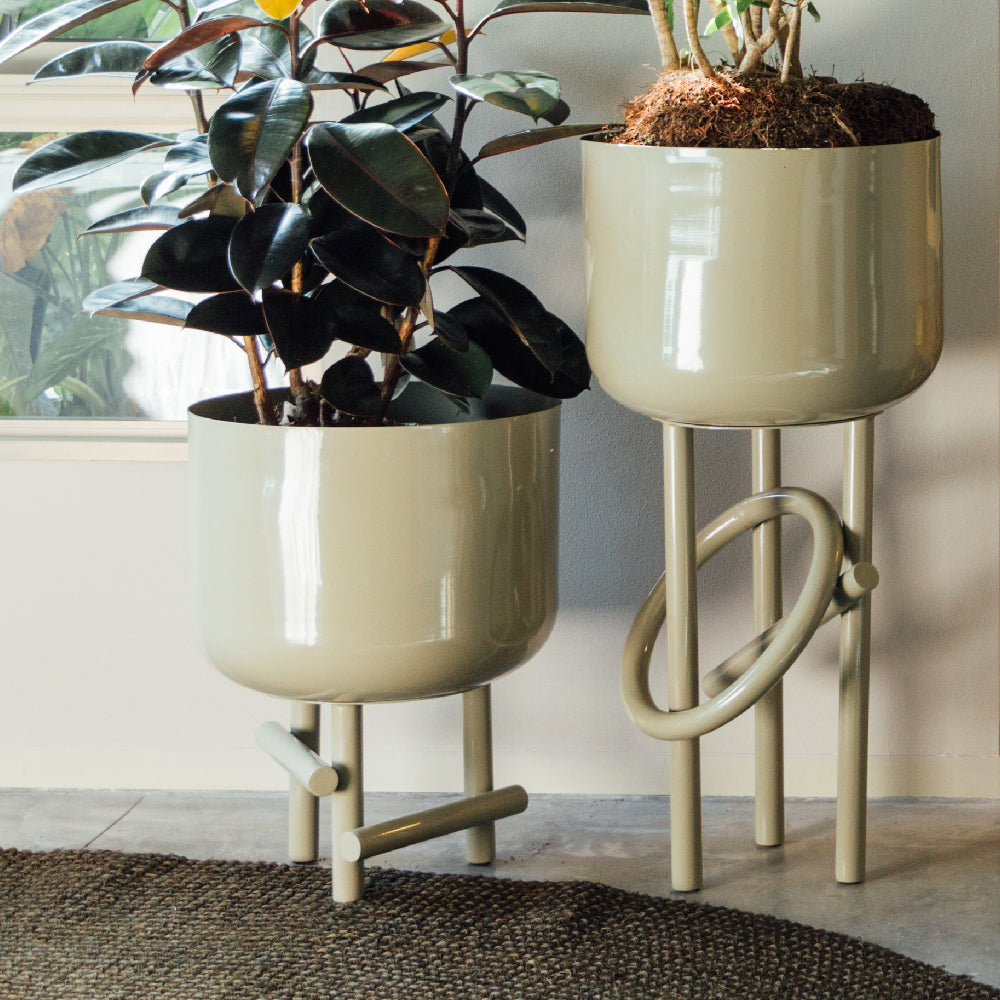 Jacinta planter 60 cm