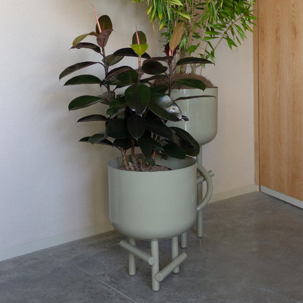 Jacinta planter 60 cm