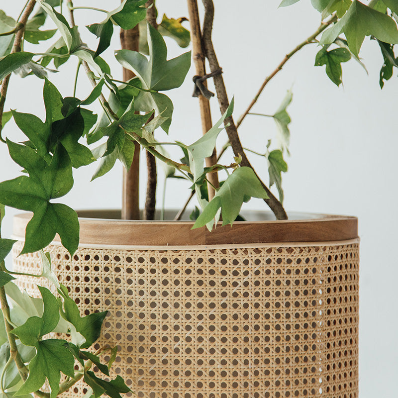 Galatea planter 60 cm