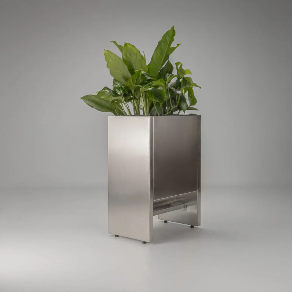 Celtis floor planter