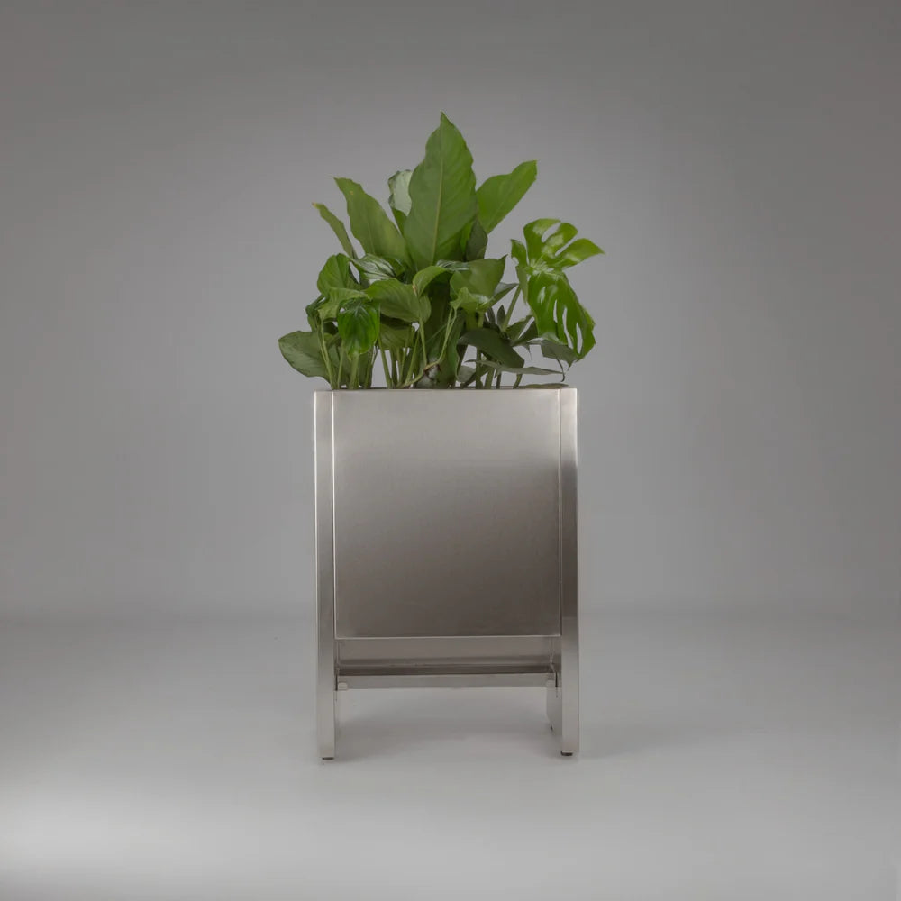 Celtis floor planter