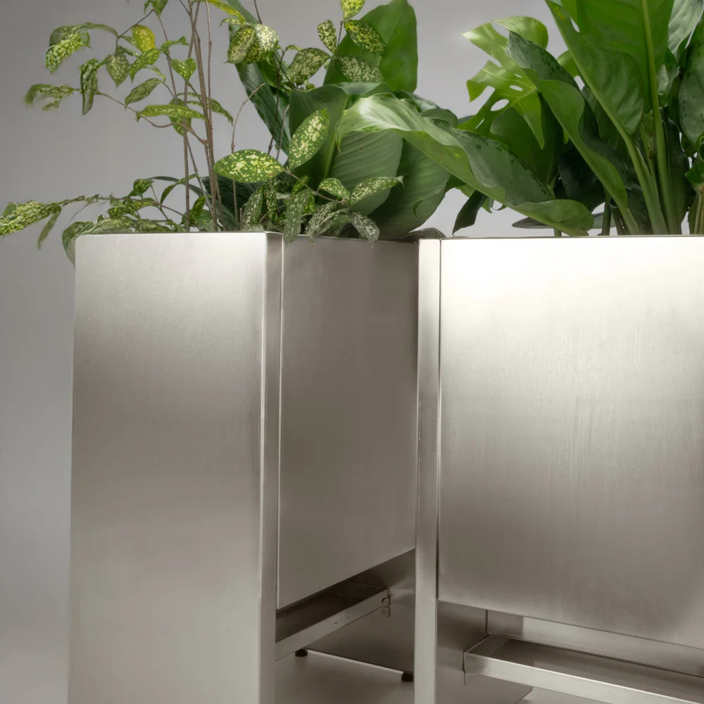Celtis floor planter