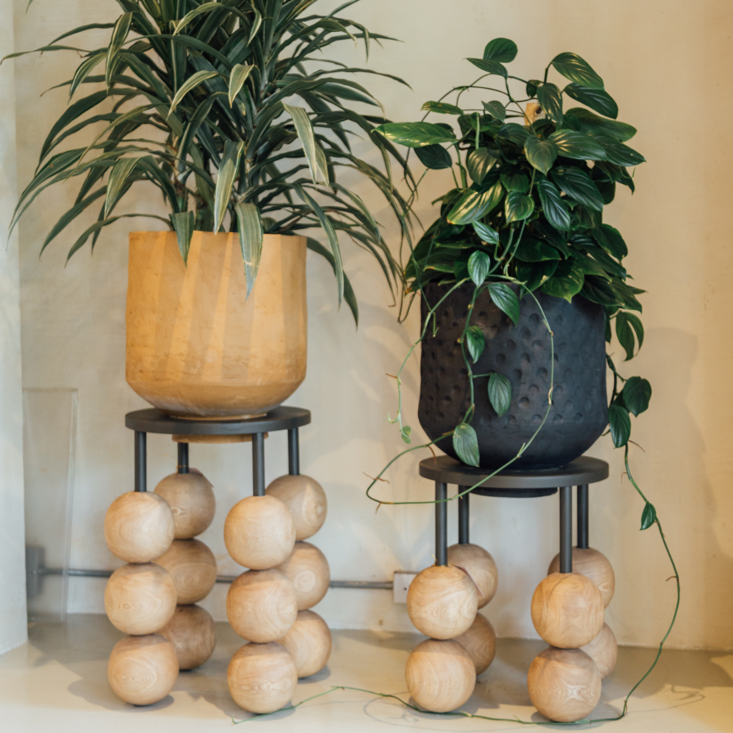 Large monte planter