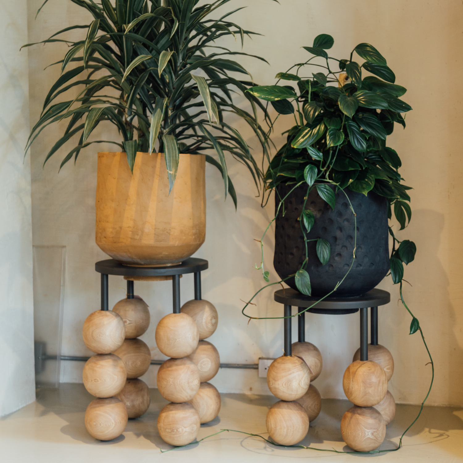 Small monte planter