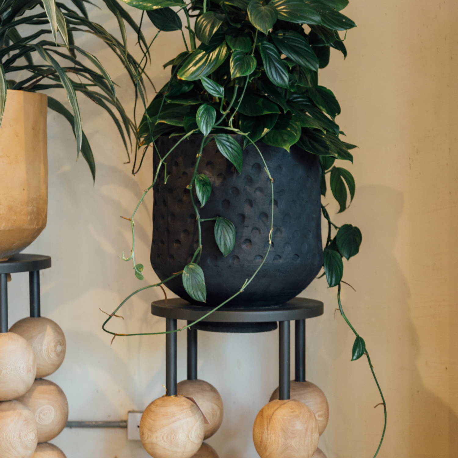Small monte planter