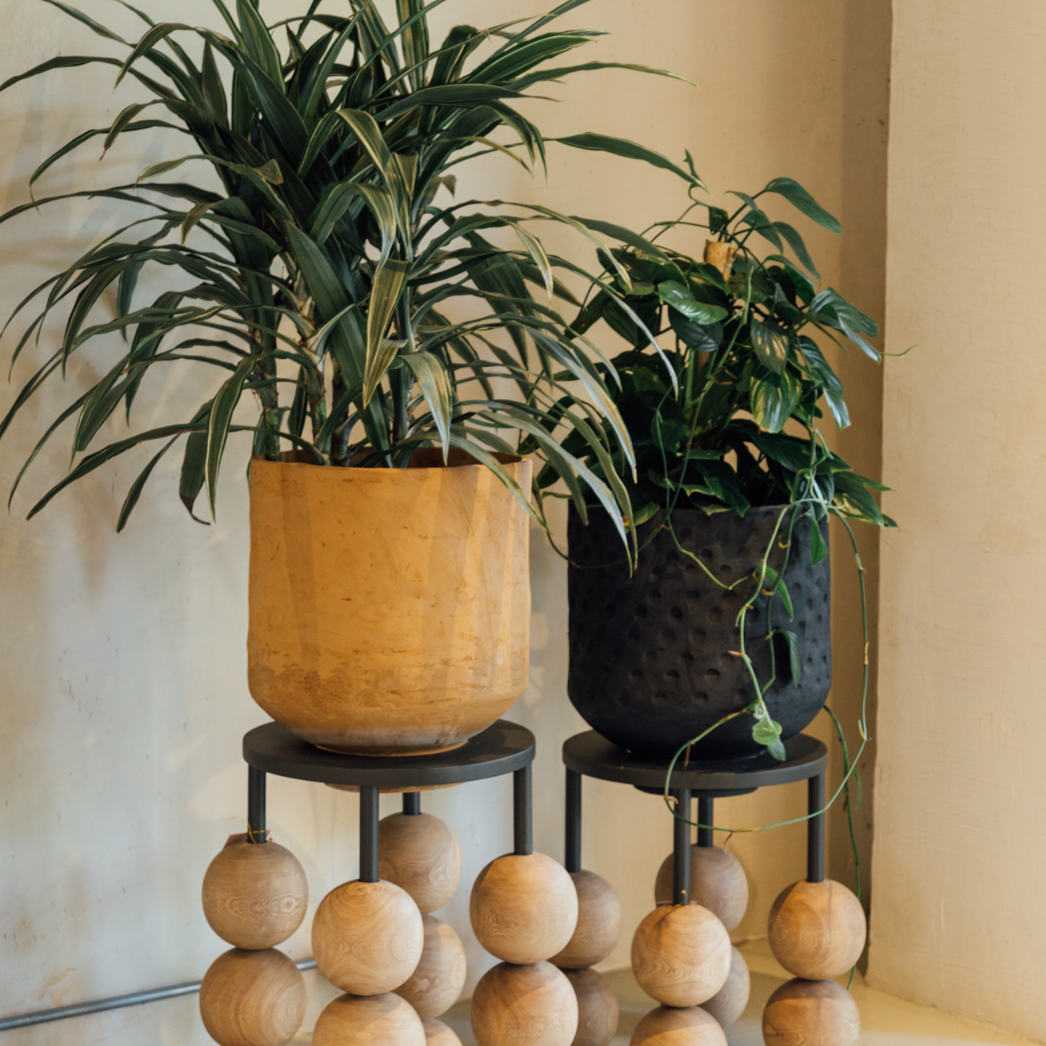 Large monte planter