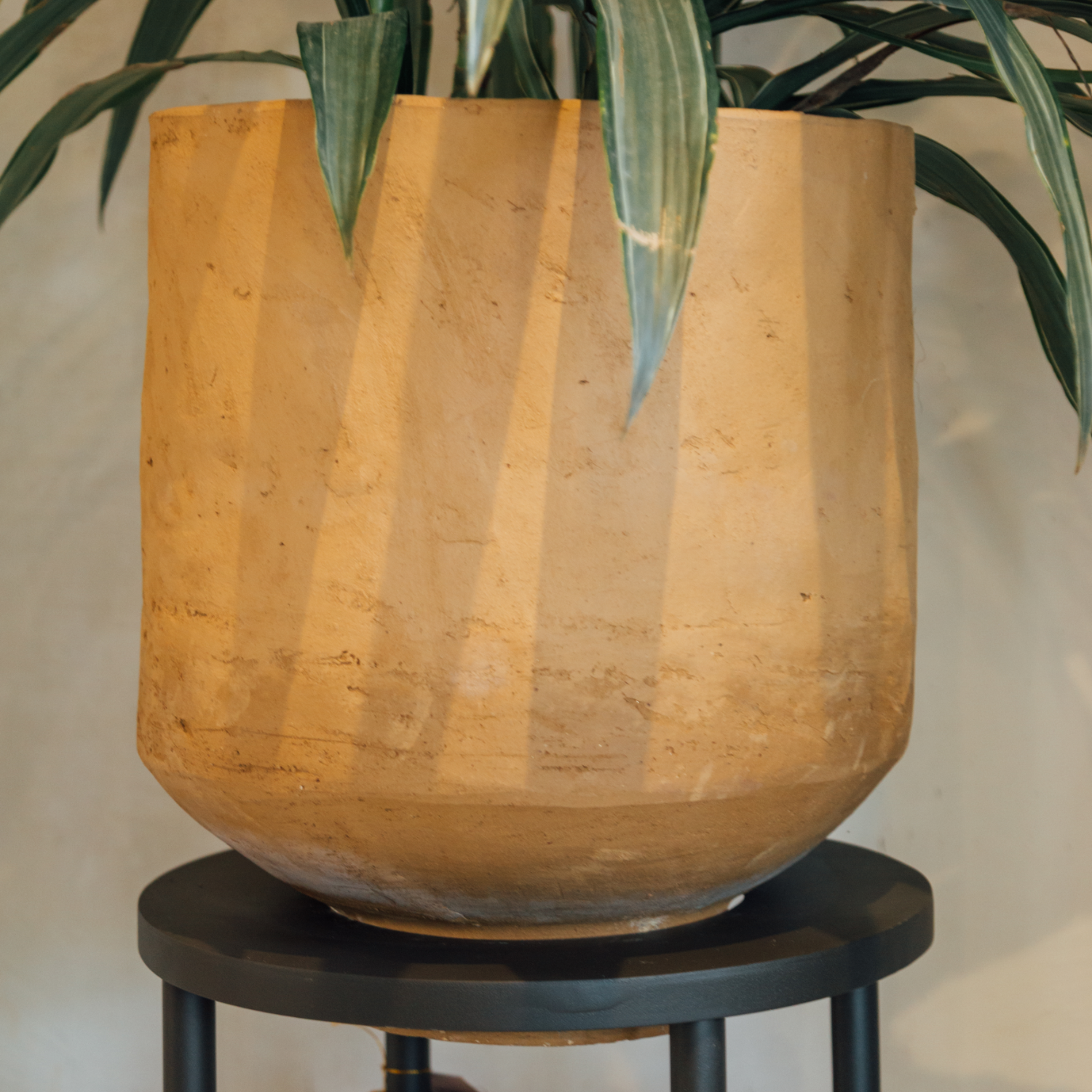Small monte planter