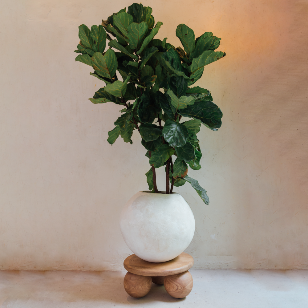 Portugal planter