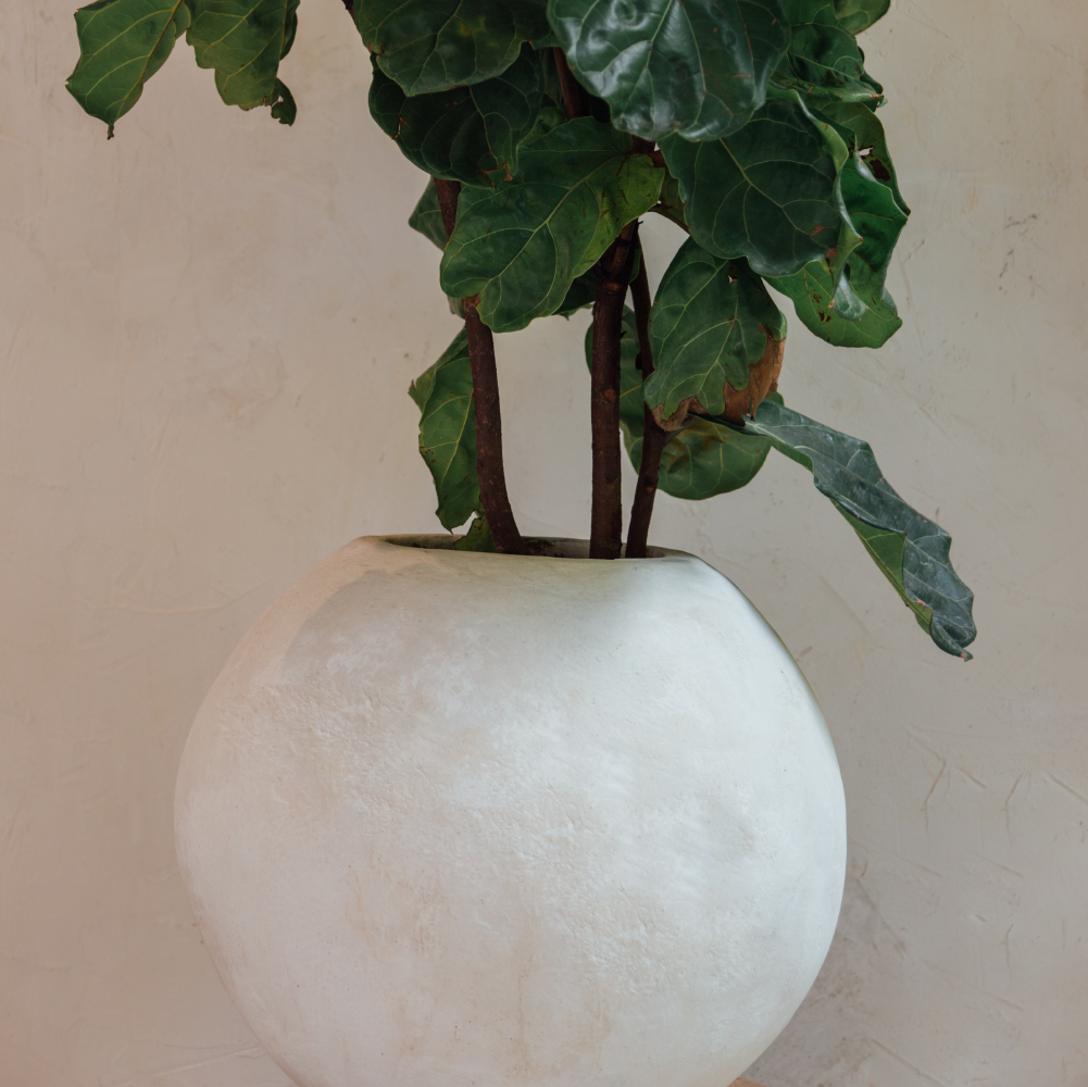 Portugal planter