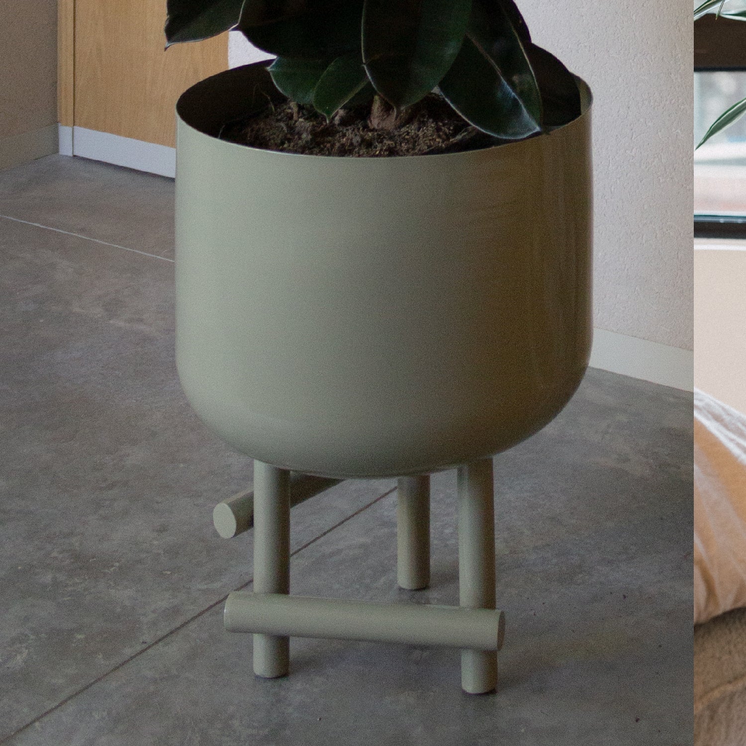 Jacinta planter 60 cm