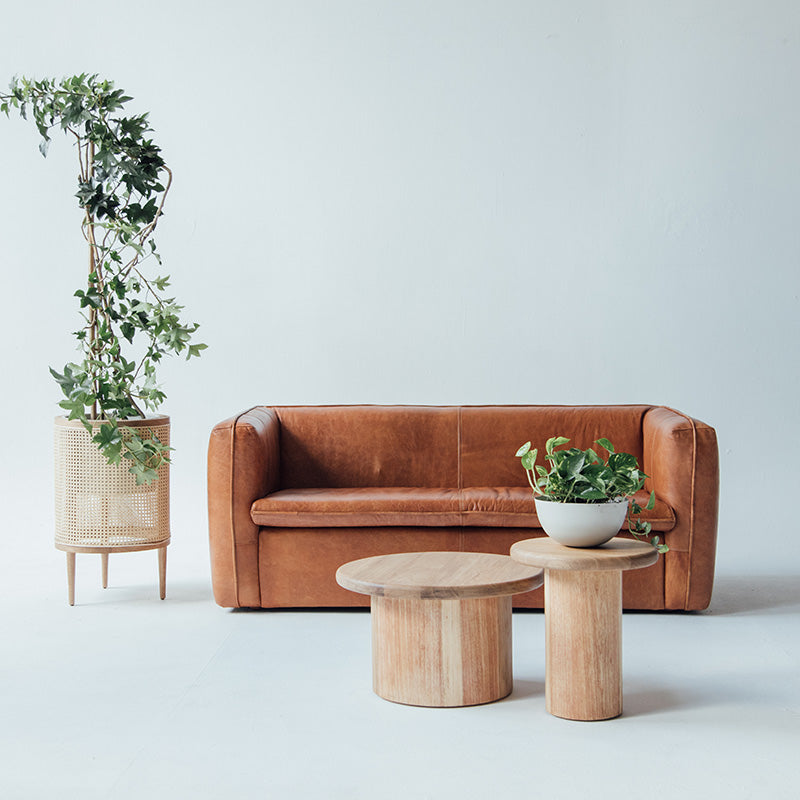 Galatea planter 50 cm